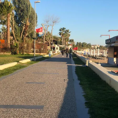 Seaside No-1